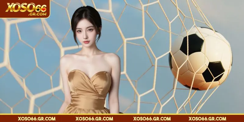 Hiểu rõ những thành phần chính để tham gia mượt mà